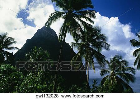 The Grand Piton Peak as seen from a distance, St. Lucia View Large Photo Image Stock Photo - The Grand Piton Peak as seen from a distance, St. Lucia. Fotosearch
