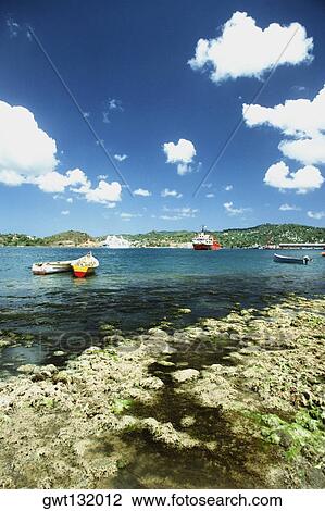 View of boats near a marshy area, St. Lucia View Large Photo Image Stock Image - View of boats near a marshy area, St. Lucia. Fotosearch