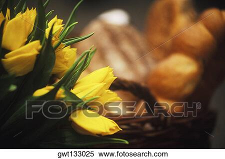 Close-up of yellow flowers View Large Photo Image Stock Photography - Close-up of yellow flowers. Fotosearch