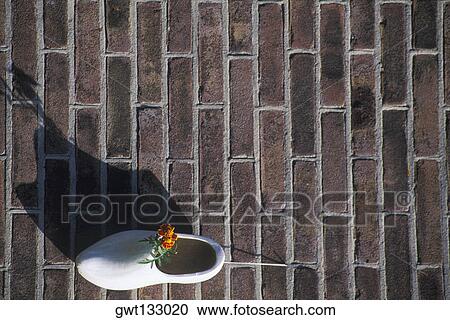Stock Image - High angle view of a flower in a clog, Amsterdam, Netherlands. Fotosearch