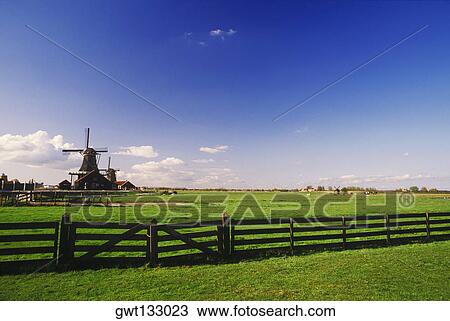 Traditional windmill in a field, Amsterdam, Netherlands View Large Photo Image Stock Image - Traditional windmill in a field, Amsterdam, Netherlands. Fotosearch