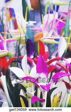Close-up of flowers, Bali, Indonesia View Large Photo Image Stock Photo - Close-up of flowers, Bali, Indonesia. Fotosearch