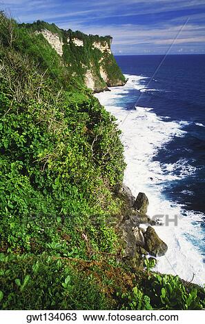 Plants growing on a cliff along the sea, Bali, Indonesia View Large Photo Image Stock Image - Plants growing on a cliff along the sea, Bali, Indonesia. Fotosearch
