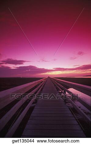 Boardwalk passing through a landscape, Cape Cod, Massachusetts, USA View Large Photo Image Picture - Boardwalk passing through a landscape, Cape Cod, Massachusetts, USA . Fotosearch
