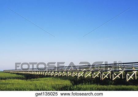 Bridge on a landscape, Cape Cod, Massachusetts, USA View Large Photo Image Stock Photography - Bridge on a landscape, Cape Cod, Massachusetts, USA . Fotosearch