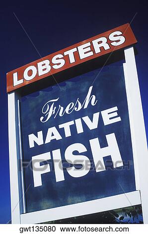 Close-up of a sign board View Large Photo Image Stock Image - Close-up of a sign board. Fotosearch