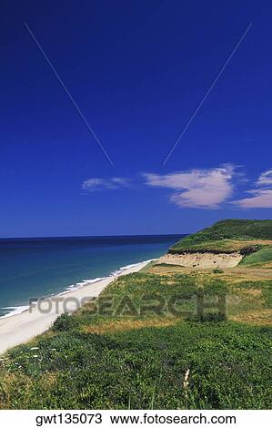 High angle view of the beach, Cape Cod, Massachusetts, USA View Large Photo Image Stock Image - High angle view of the beach, Cape Cod, Massachusetts, USA . Fotosearch