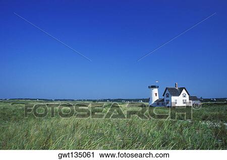 House in a field, Cape Cod, Massachusetts, USA View Large Photo Image Stock Image - House in a field, Cape Cod, Massachusetts, USA . Fotosearch
