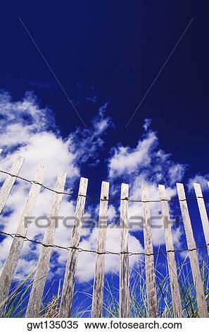 Low angle view of a wooden fence, Cape Cod, Massachusetts, USA View Large Photo Image Stock Photography - Low angle view of a wooden fence, Cape Cod, Massachusetts, USA . Fotosearch