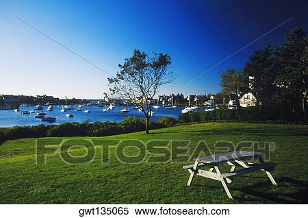Picnic table on a lawn View Large Photo Image Stock Photography - Picnic table on a lawn. Fotosearch