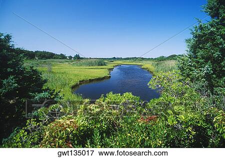 Pond in a garden, Cape Cod, Massachusetts, USA View Large Photo Image Stock Photo - Pond in a garden, Cape Cod, Massachusetts, USA . Fotosearch