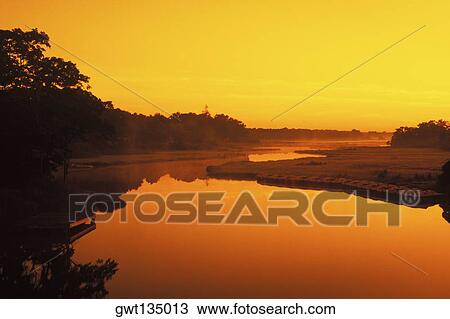 Silhouette of trees at dusk View Large Photo Image Stock Image - Silhouette of trees at dusk. Fotosearch
