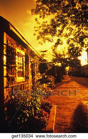 Picture - Street in front of a house, Cape Cod, Massachusetts, USA . Fotosearch