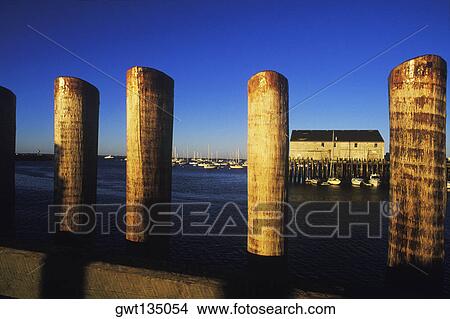 Picture - Wooden columns in a river, Cape Cod, Massachusetts, USA . Fotosearch