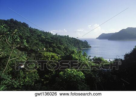 High angle view of trees on an island, Caribbean View Large Photo Image Stock Photograph - High angle view of trees on an island, Caribbean. Fotosearch