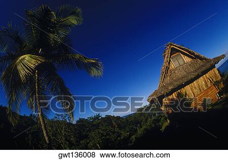 Palm tree and a hut on the beach, Caribbean View Large Photo Image Stock Photo - Palm tree and a hut on the beach, Caribbean. Fotosearch