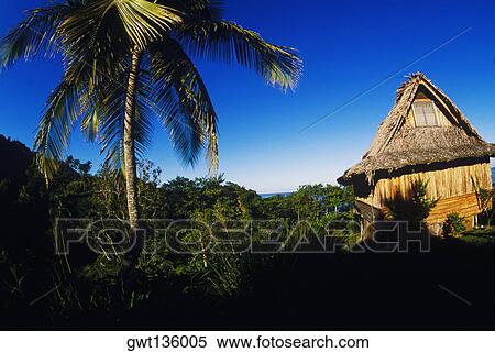 Stock Photography - Palm trees and a hut on the beach, Caribbean. Fotosearch