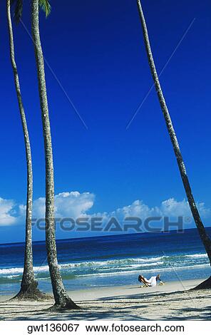 Stock Photo - Side profile of a woman sitting on a deck chair on the beach, Caribbean. Fotosearch