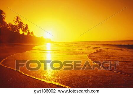 Sunset over the beach, Caribbean View Large Photo Image Stock Image - Sunset over the beach, Caribbean. Fotosearch