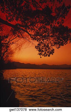 Silhouette of a tree near a lake, China View Large Photo Image Stock Photo - Silhouette of a tree near a lake, China. Fotosearch