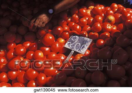 High angle view of a person's hand picking tomatoes View Large Photo Image Stock Photography - High angle view of a person's hand picking tomatoes. Fotosearch