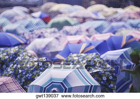 High angle view of umbrellas View Large Photo Image Stock Photo - High angle view of umbrellas. Fotosearch