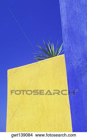 Low angle view of a cactus on the top of a building View Large Photo Image Picture - Low angle view of a cactus on the top of a building. Fotosearch