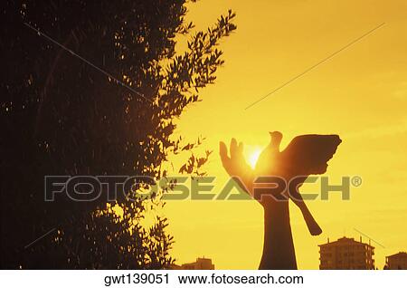 Silhouette of the statue of a pigeon on a hand at dusk View Large Photo Image Stock Image - Silhouette of the statue of a pigeon on a hand at dusk. Fotosearch
