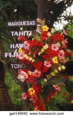 Stock Image - Close-up of a bunch of flowers and information boards, Hawaii, USA. Fotosearch