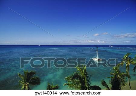 High angle view of a sailboat in the sea, Hawaii, USA View Large Photo Image Picture - High angle view of a sailboat in the sea, Hawaii, USA. Fotosearch