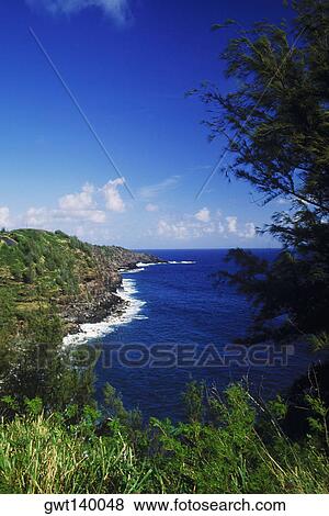 High angle view of the sea, Hawaii, USA View Large Photo Image Stock Photo - High angle view of the sea, Hawaii, USA. Fotosearch