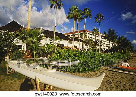 Palm trees and a boat on the beach, Hawaii, USA View Large Photo Image Stock Image - Palm trees and a boat on the beach, Hawaii, USA. Fotosearch