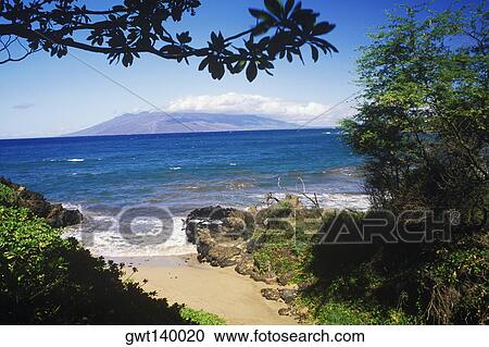 Rocks and trees on the beach, Hawaii, USA View Large Photo Image Stock Image - Rocks and trees on the beach, Hawaii, USA. Fotosearch