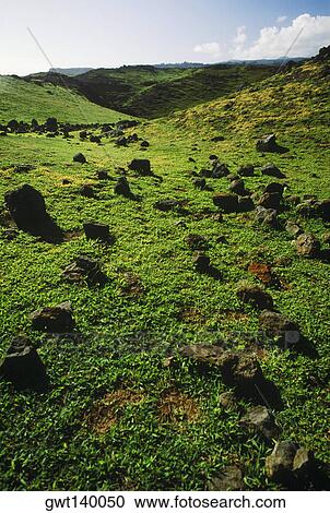 Rocks on a landscape, Hawaii, USA View Large Photo Image Stock Image - Rocks on a landscape, Hawaii, USA. Fotosearch