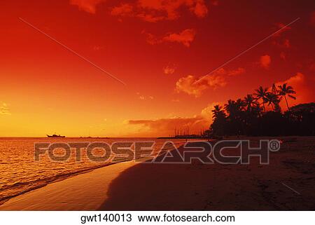 Stock Image - Silhouette of palm trees on the beach at dusk, Hawaii, USA. Fotosearch