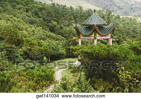 Gazebo in a forest, Hong Kong, China View Large Photo Image Picture - Gazebo in a forest, Hong Kong, China. Fotosearch