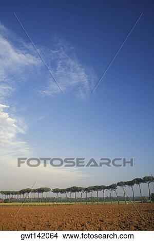 Close-up of a plowed field, Italy View Large Photo Image Picture - Close-up of a plowed field, Italy. Fotosearch