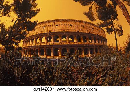Trees in front of an amphitheater, Rome, Italy View Large Photo Image Stock Photo - Trees in front of an amphitheater, Rome, Italy. Fotosearch