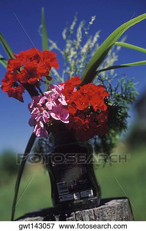 Close-up of a flowers in a vase View Large Photo Image Stock Photo - Close-up of a flowers in a vase. Fotosearch