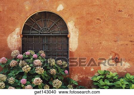 Flowers near a window View Large Photo Image Stock Image - Flowers near a window. Fotosearch