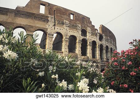 Low angle view of an amphitheater, Rome, Italy View Large Photo Image Stock Photography - Low angle view of an amphitheater, Rome, Italy. Fotosearch