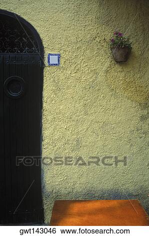 Potted plant hanging on a wall View Large Photo Image Stock Photograph - Potted plant hanging on a wall. Fotosearch