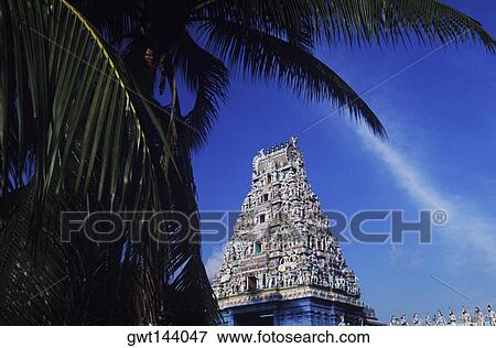 Close-up of a tree in front of a temple, Singapore View Large Photo Image Stock Photo - Close-up of a tree in front of a temple, Singapore. Fotosearch