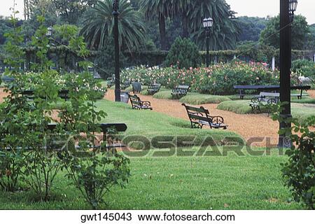 Empty park benches in a garden View Large Photo Image Stock Image - Empty park benches in a garden. Fotosearch