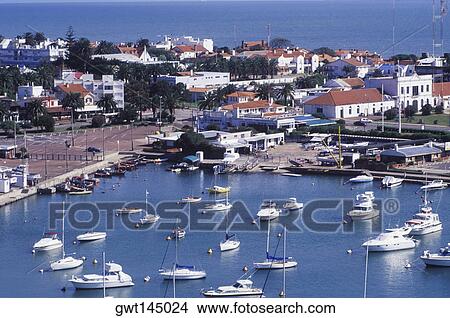 High angle view of yachts anchored at a harbor View Large Photo Image Picture - High angle view of yachts anchored at a harbor. Fotosearch