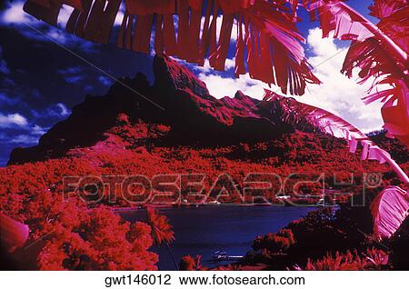 Stock Image - Lake in front of a mountain, Hawaii, USA. Fotosearch
