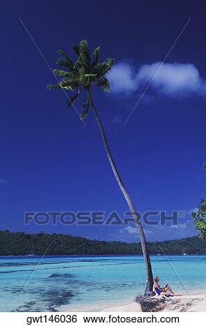 Stock Photograph - Person sitting against a coconut palm tree, Hawaii, USA. Fotosearch
