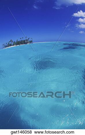 Trees on an island in the sea, Hawaii, USA View Large Photo Image Stock Photo - Trees on an island in the sea, Hawaii, USA. Fotosearch