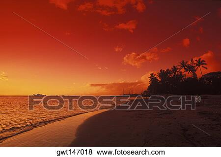Beach at dusk, Hawaii, USA View Large Photo Image Stock Photo - Beach at dusk, Hawaii, USA. Fotosearch