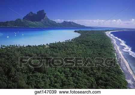 High angle view of a forest along the sea, Hawaii, USA View Large Photo Image Stock Photo - High angle view of a forest along the sea, Hawaii, USA. Fotosearch